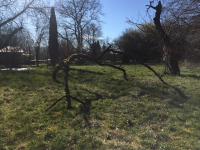 https://www.timhelbig.de/files/gimgs/th-105_IMG_0320.jpg
