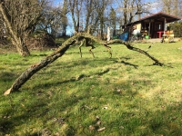 https://www.timhelbig.de/files/gimgs/th-105_IMG_0322.jpg