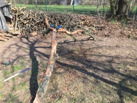 https://www.timhelbig.de/files/gimgs/th-105_IMG_0366.jpg