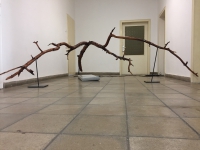 https://www.timhelbig.de/files/gimgs/th-105_IMG_1195.jpg