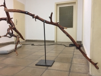 https://www.timhelbig.de/files/gimgs/th-105_IMG_1196.jpg