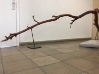 https://www.timhelbig.de/files/gimgs/th-105_IMG_1198.jpg
