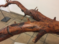https://www.timhelbig.de/files/gimgs/th-105_IMG_1216.jpg