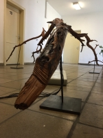 https://www.timhelbig.de/files/gimgs/th-105_IMG_1220.jpg