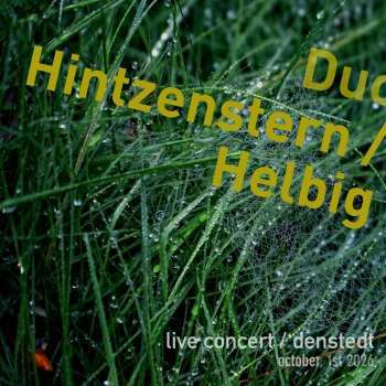 https://www.timhelbig.de/files/gimgs/th-120_Denstedt2026_coverD_red.jpeg